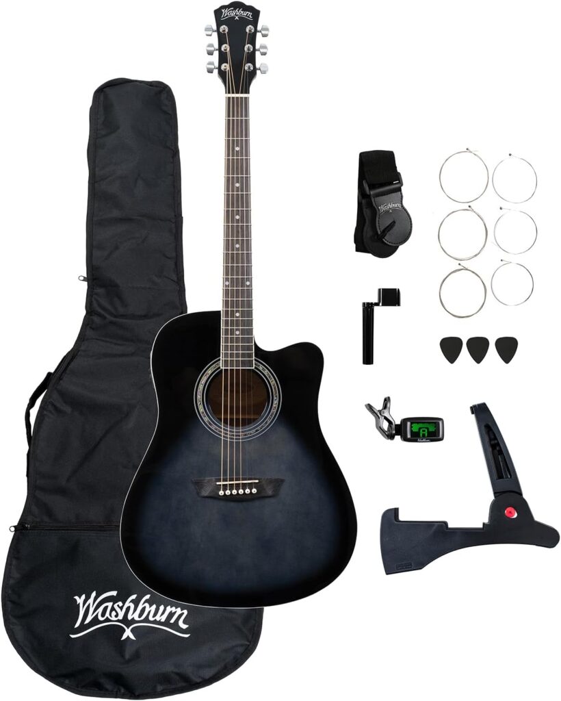 Washburn Acoustic